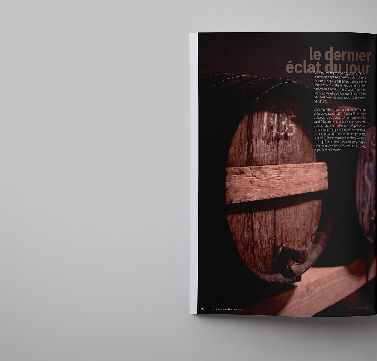 Brief créatif Novembre 2025