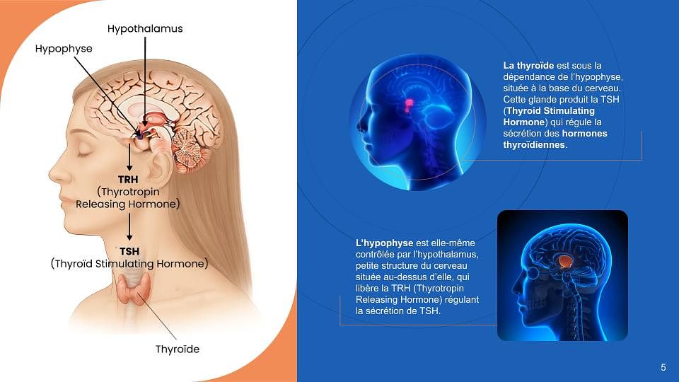 Présentation médicale