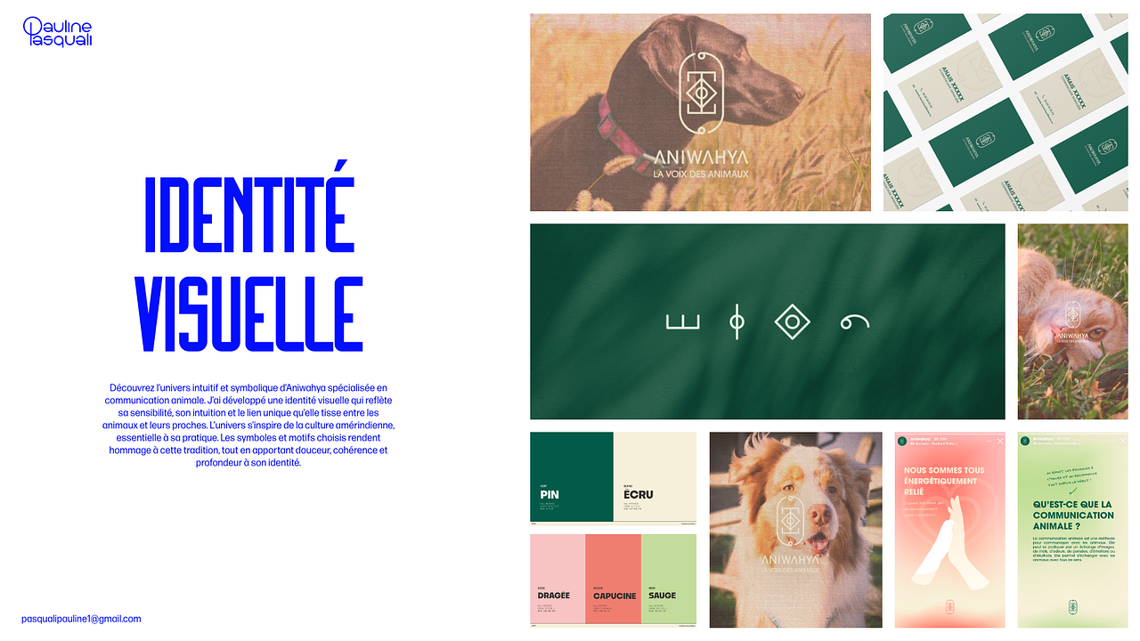 Identité visuelle - Aniwahya