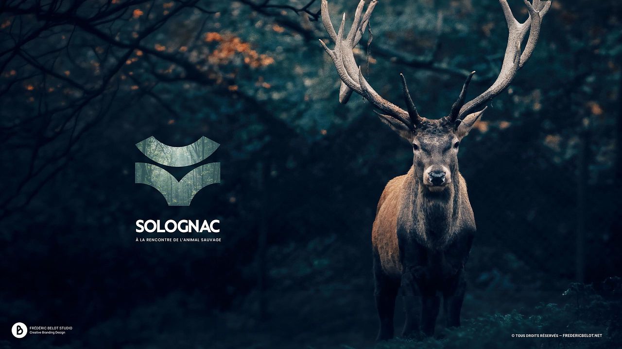 SOLOGNAC (Decathlon) | Direction artistique