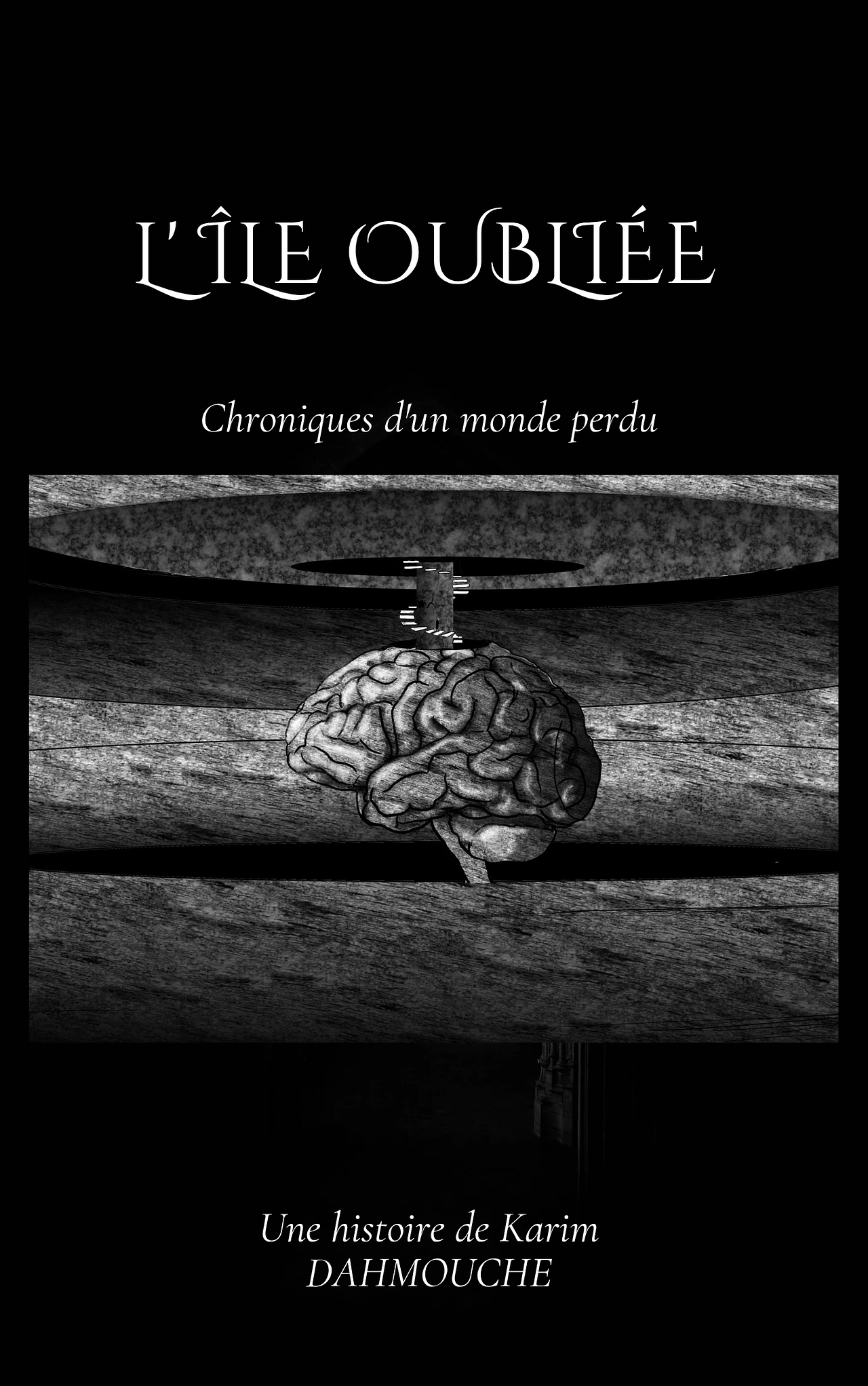 Livre illustré
