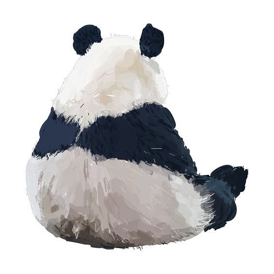 Illustration panda