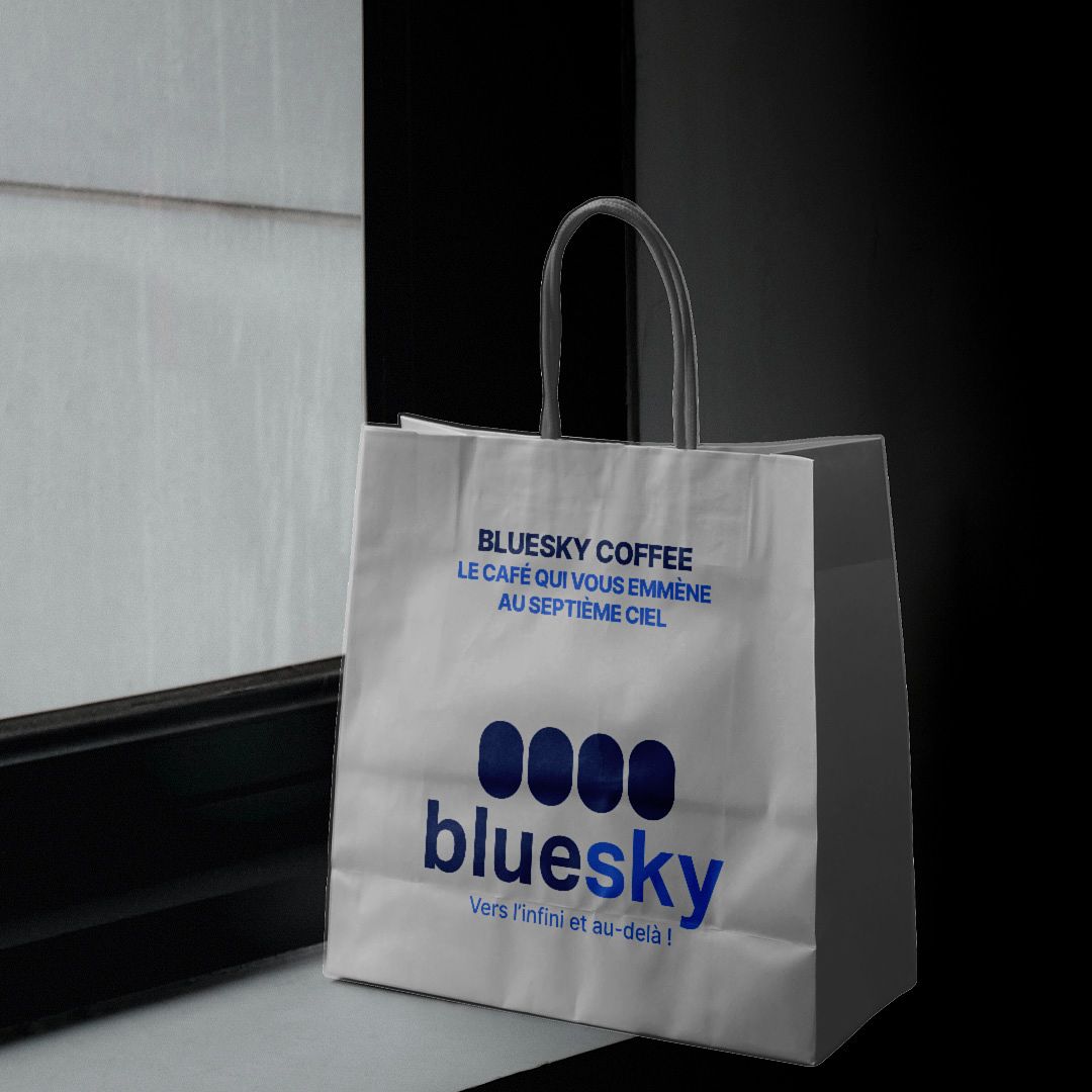 BLUESKY AIRLINE