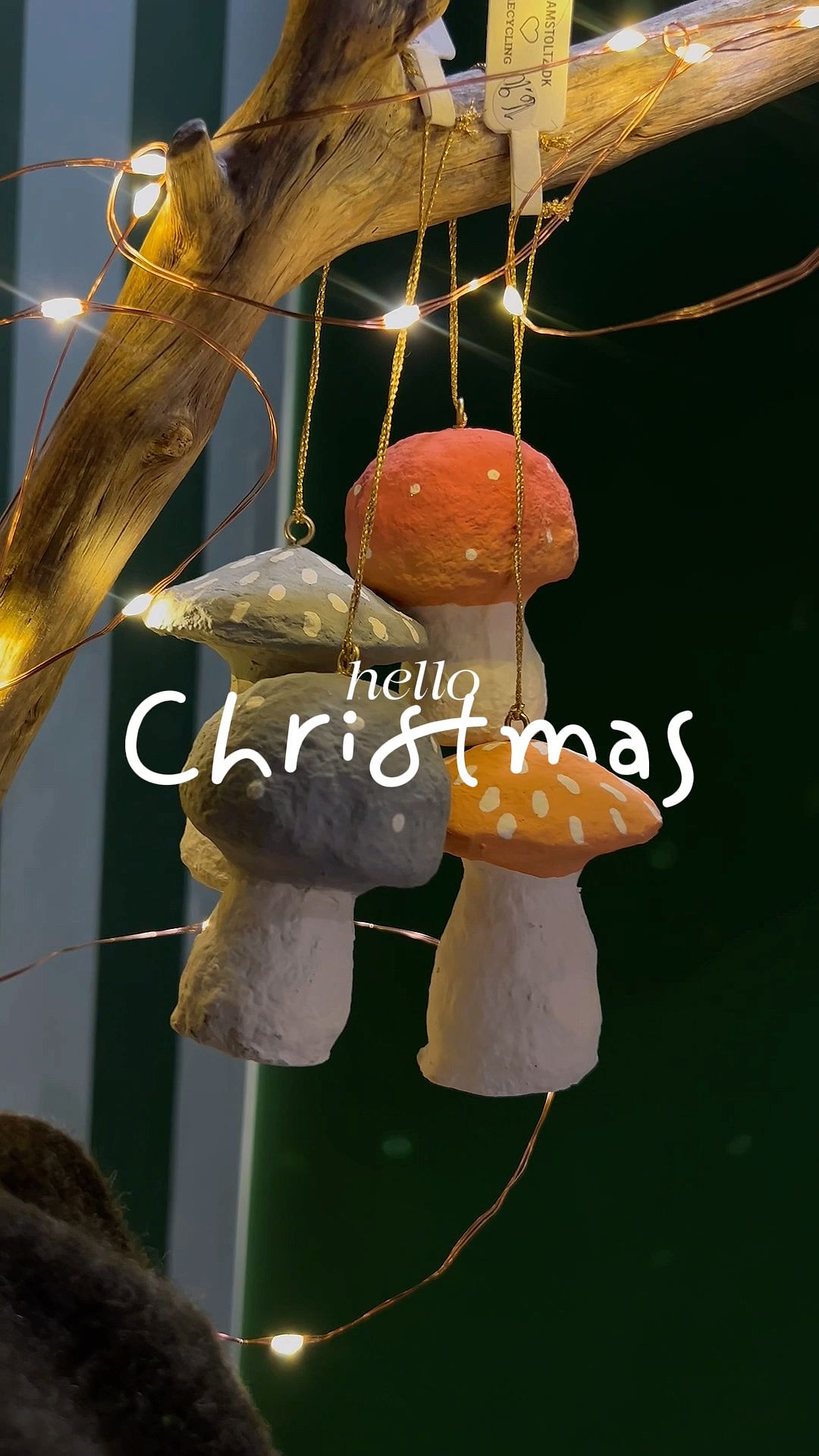 Réel instagram - Little Rio