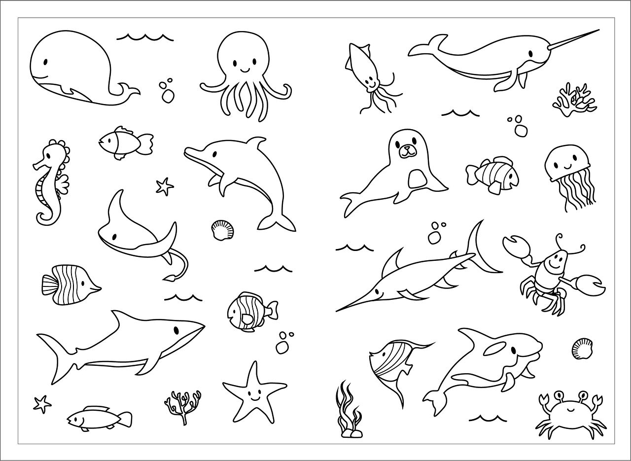 Dessin animaux de la mer