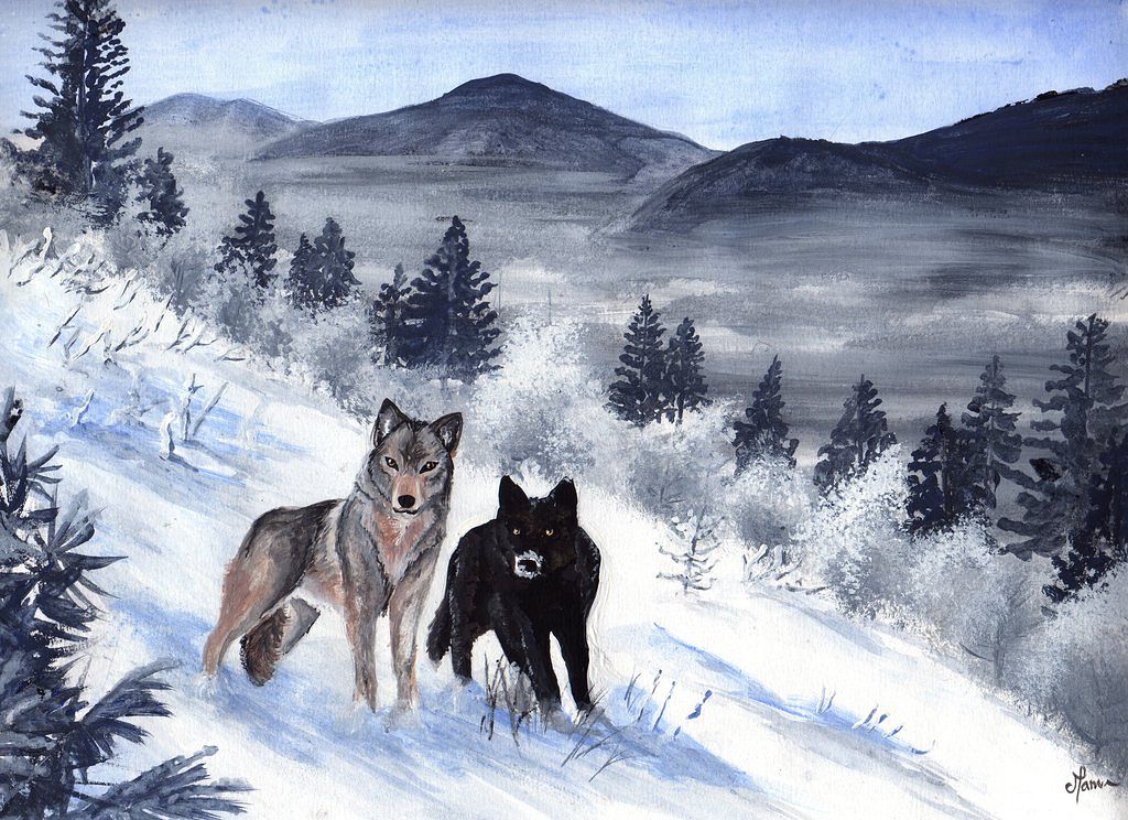 Illustration de la BD "Perdue dans la toundra"