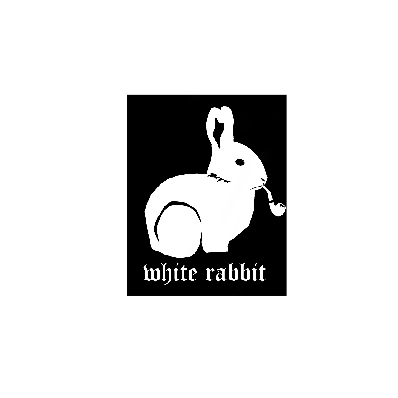 White rabbit