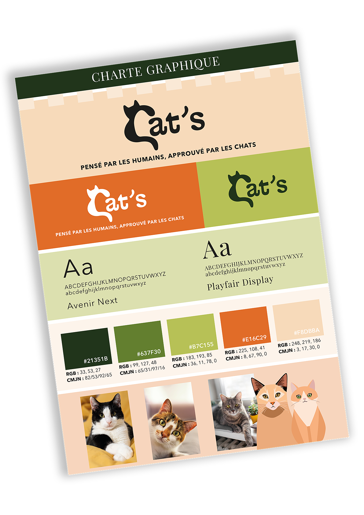 Cat's