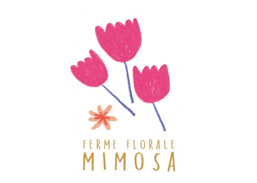 Ferme Florale Mimosa