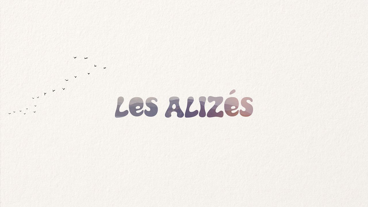 Identités visuelle Les Alizés