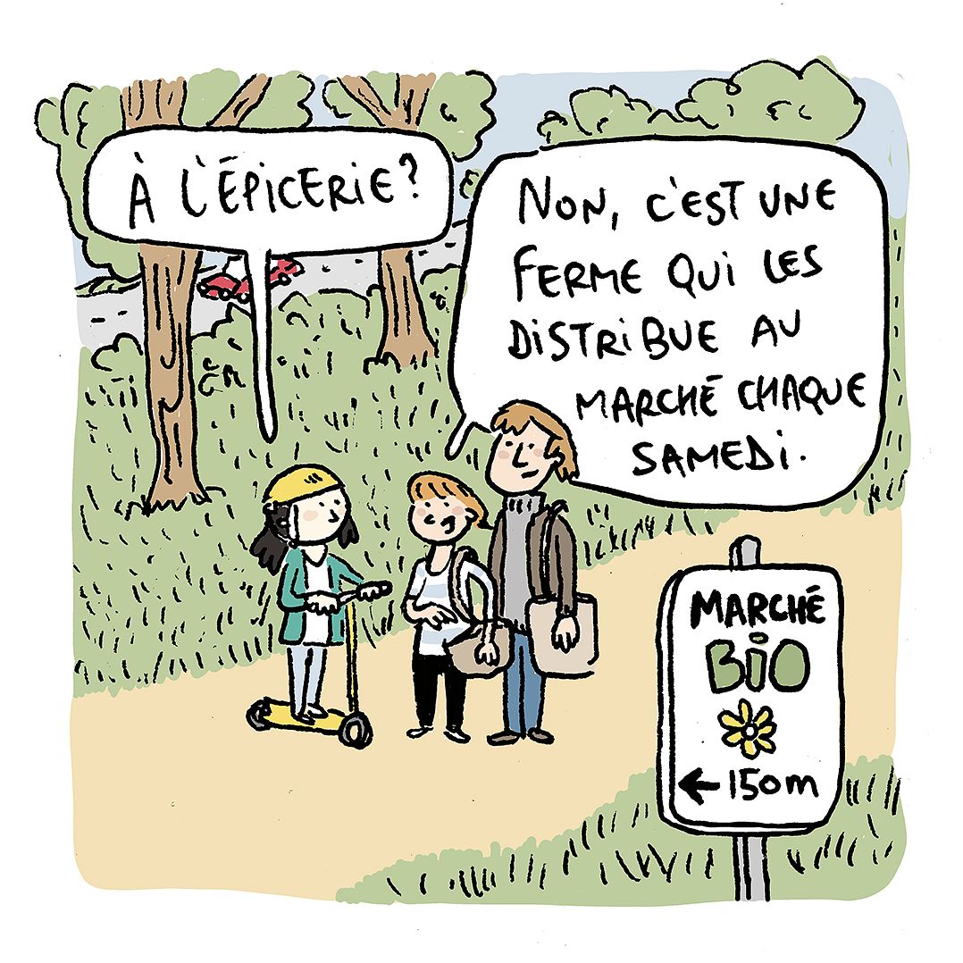 Extrait pour manuel scolaire.