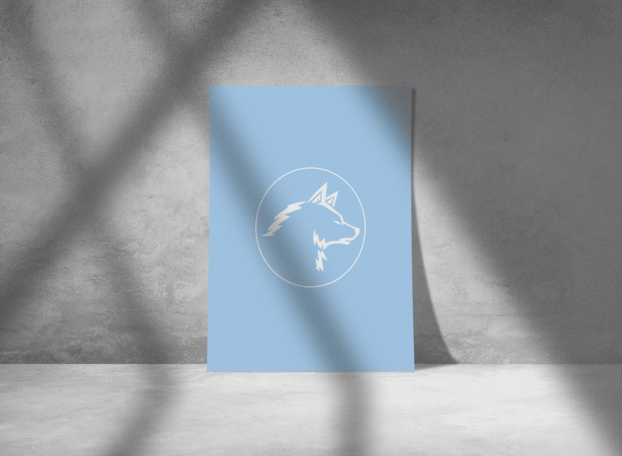 La bête de l'infographie - CV recto