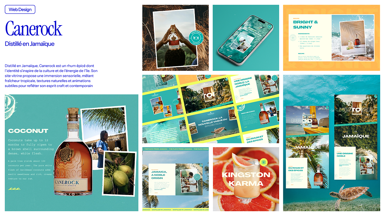 Canerock - Webdesign