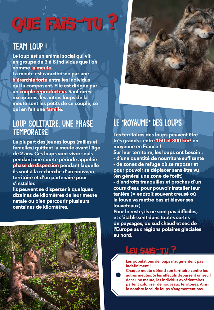 Exposition sur le retour du loup
