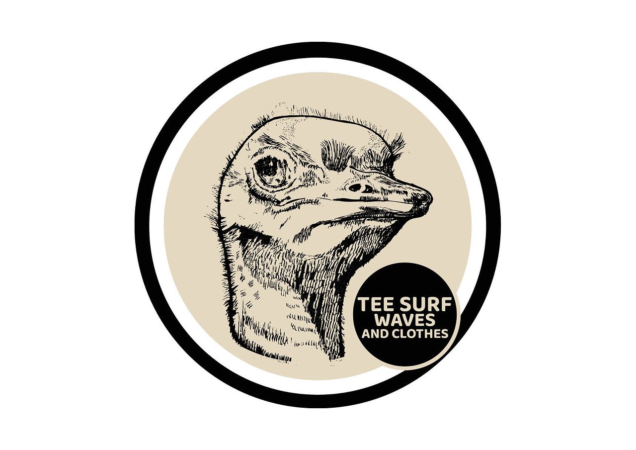 Identité visuelle / Surf