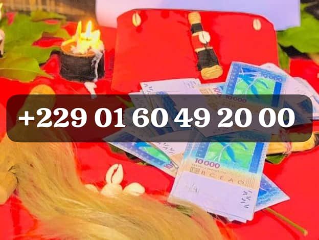 PROCEDURE DU PORTEFEUILLE MAGIQUE+229 0160492000