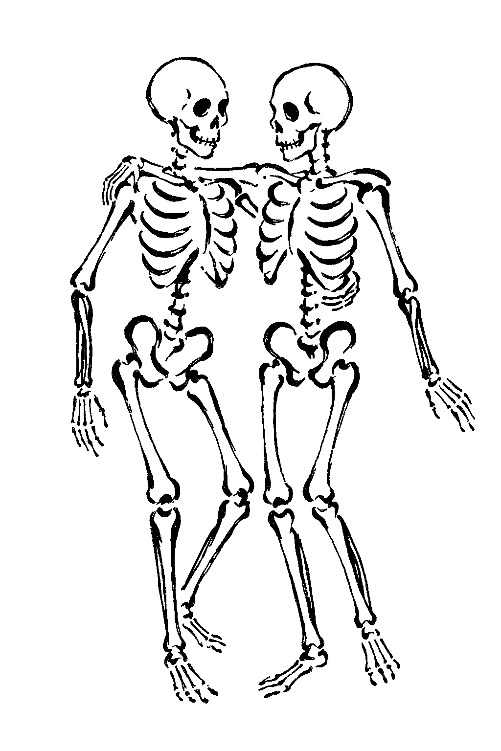 Entrez dans la danse