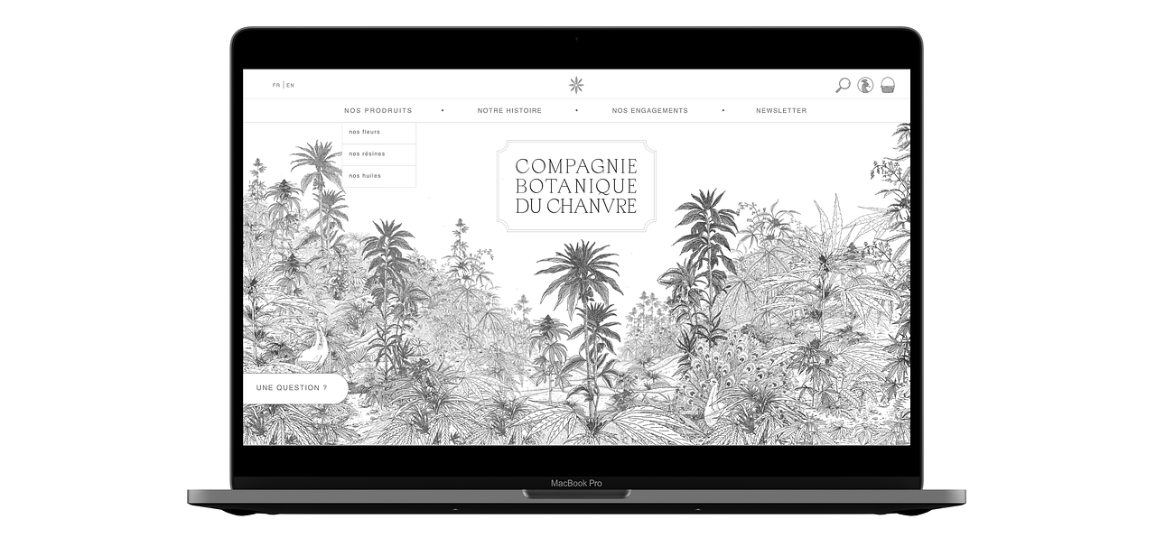 Web Design CBDC