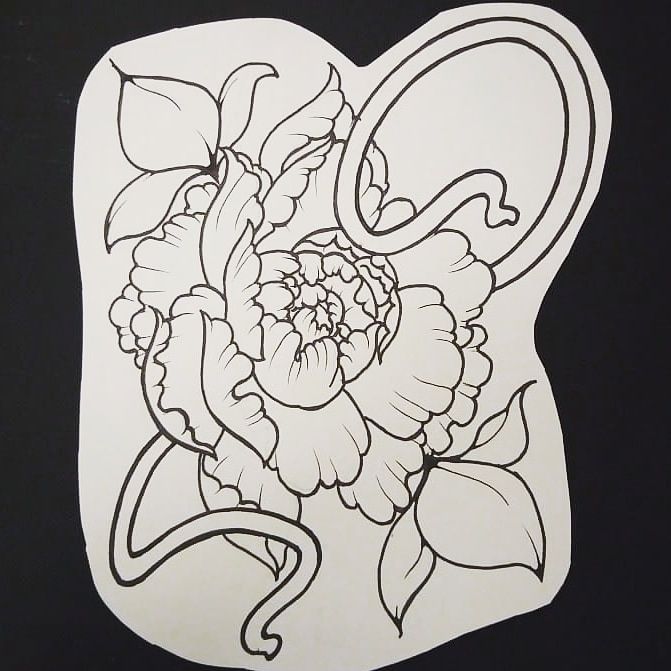 Pivoine