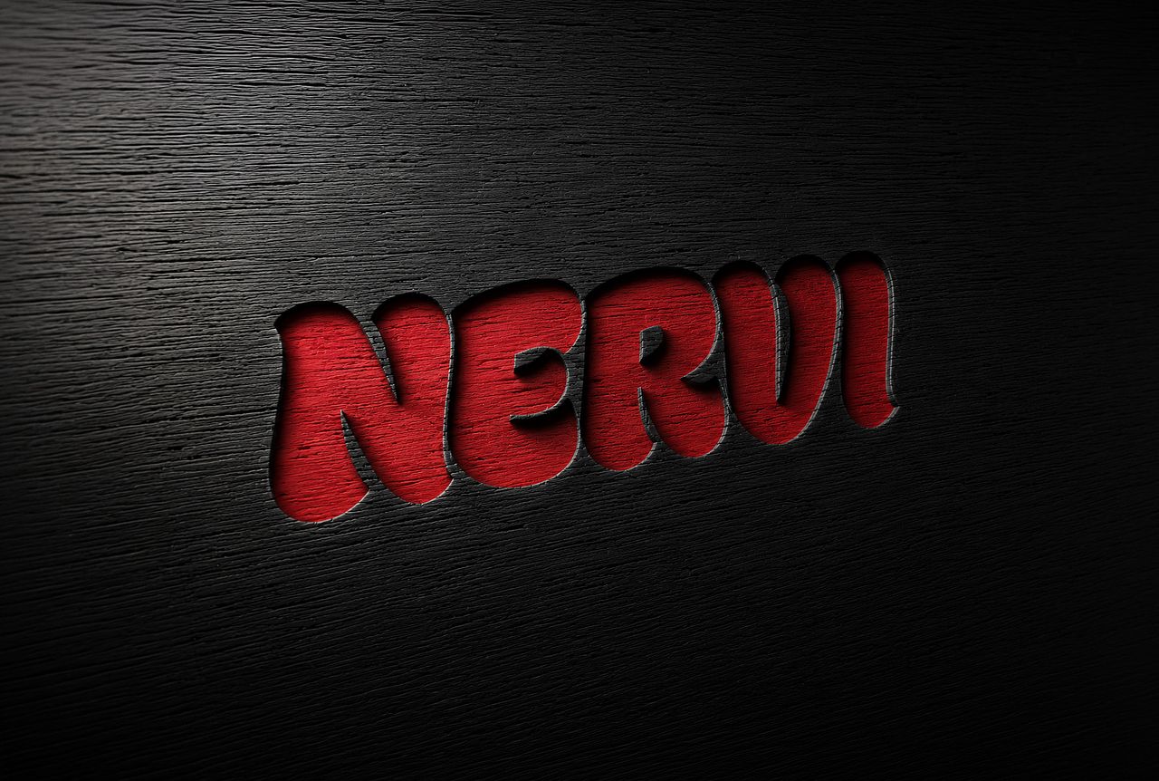 Mise en situation logo Nervi