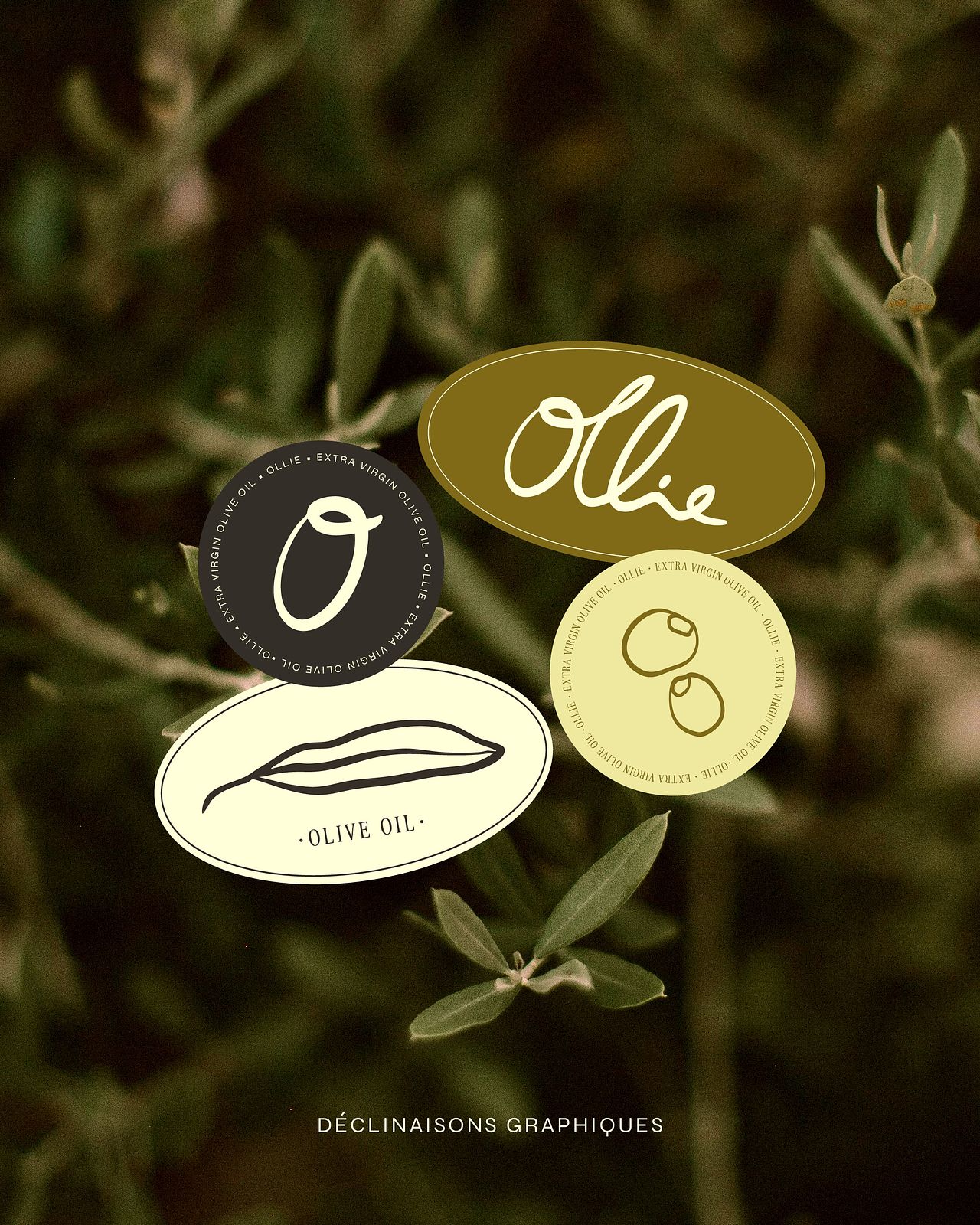 Déclinaison Logo Ollie