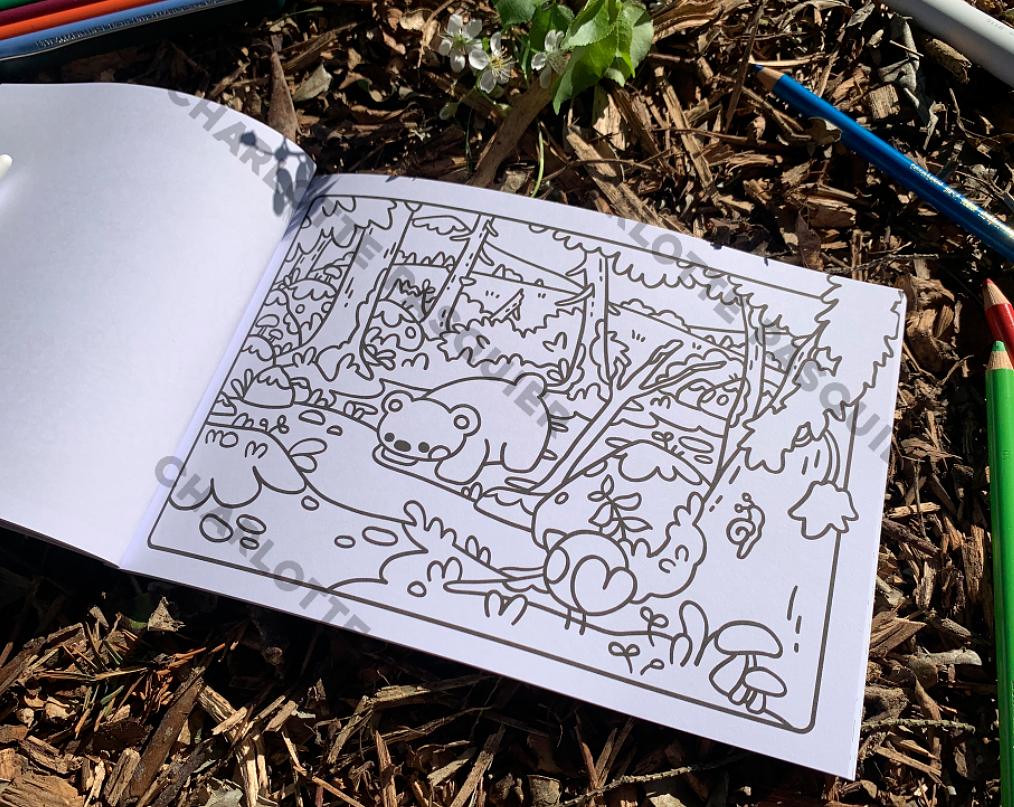Aventures à Colorier - Charlotte Pasquier