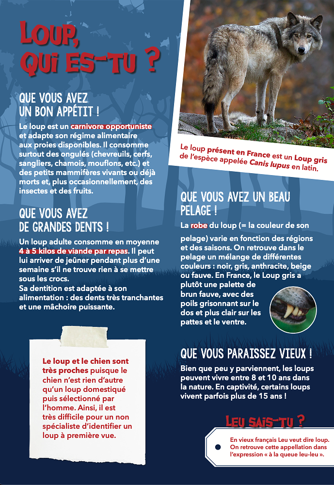 Exposition sur le retour du loup