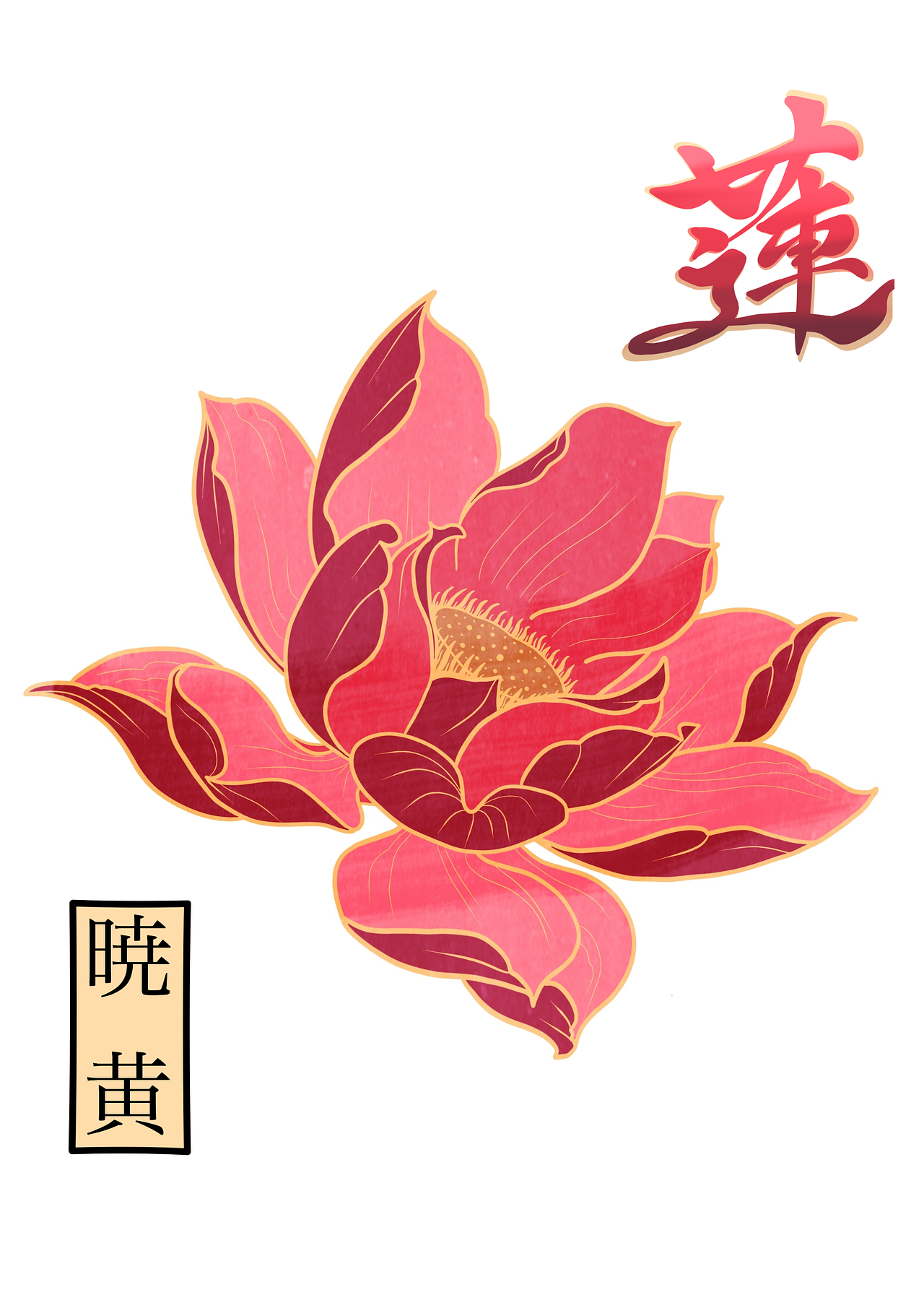 Hasu