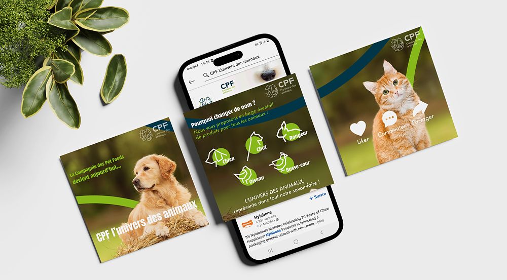 CPF, l'univers des animaux