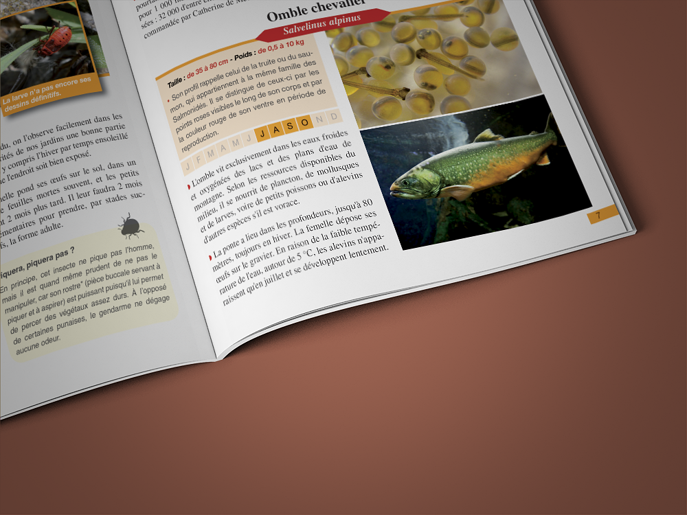 Extrait d'un guide animalier (Auvergne)