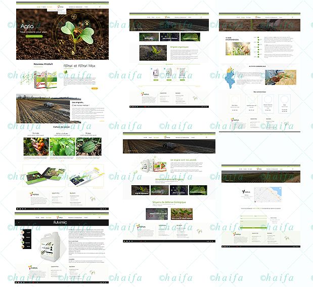 Maquette Web design