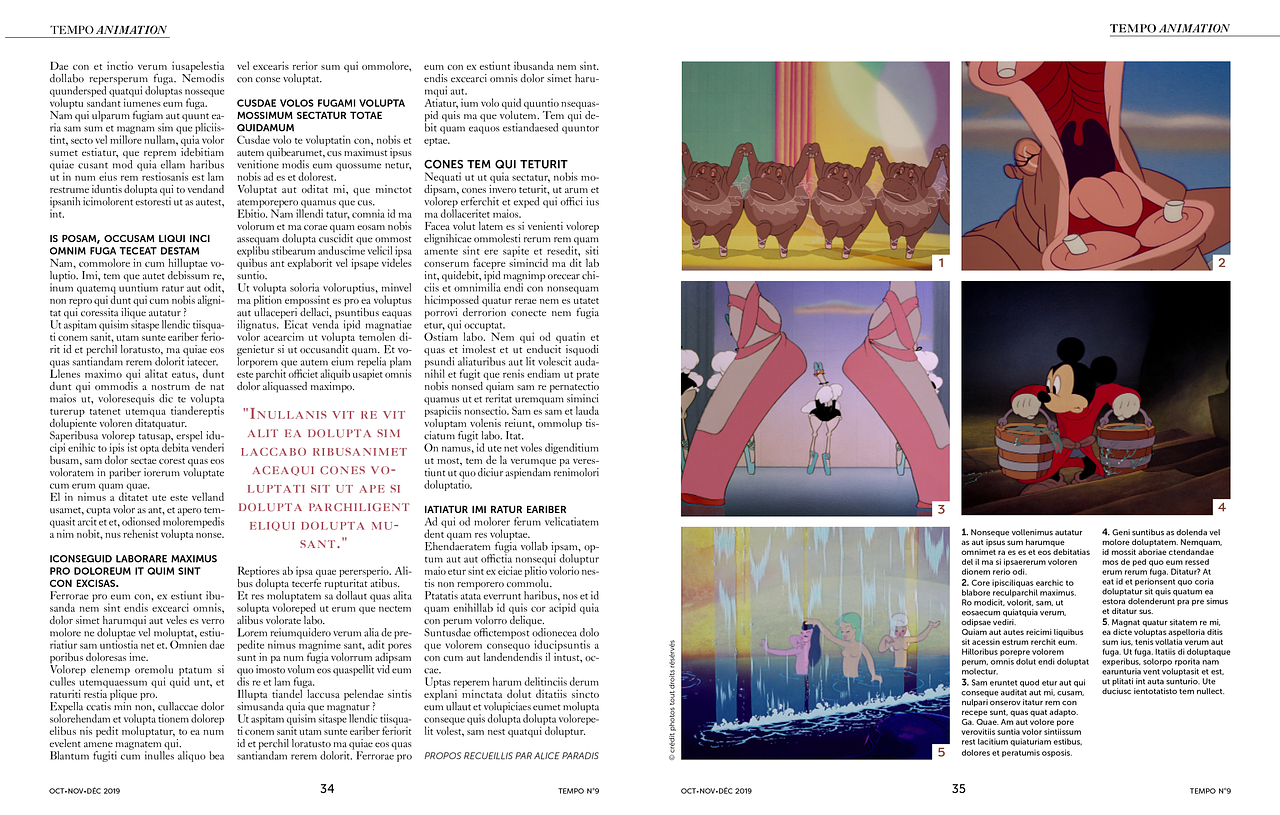 Magazine