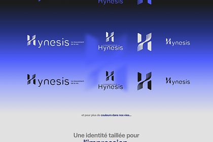Identité visuelle Hynesis