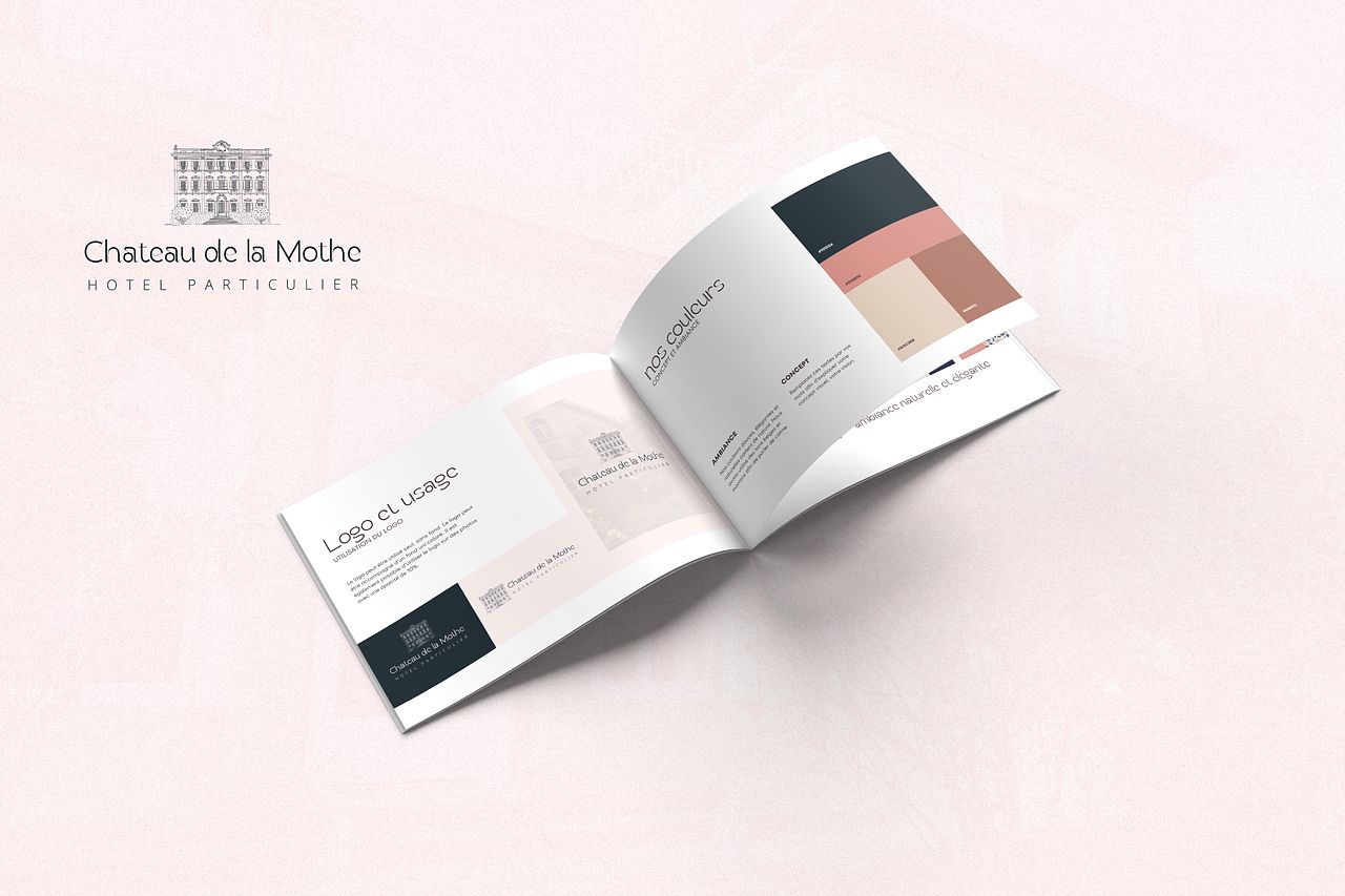 Identité Visuelle — Logo & Usages - Couleurs