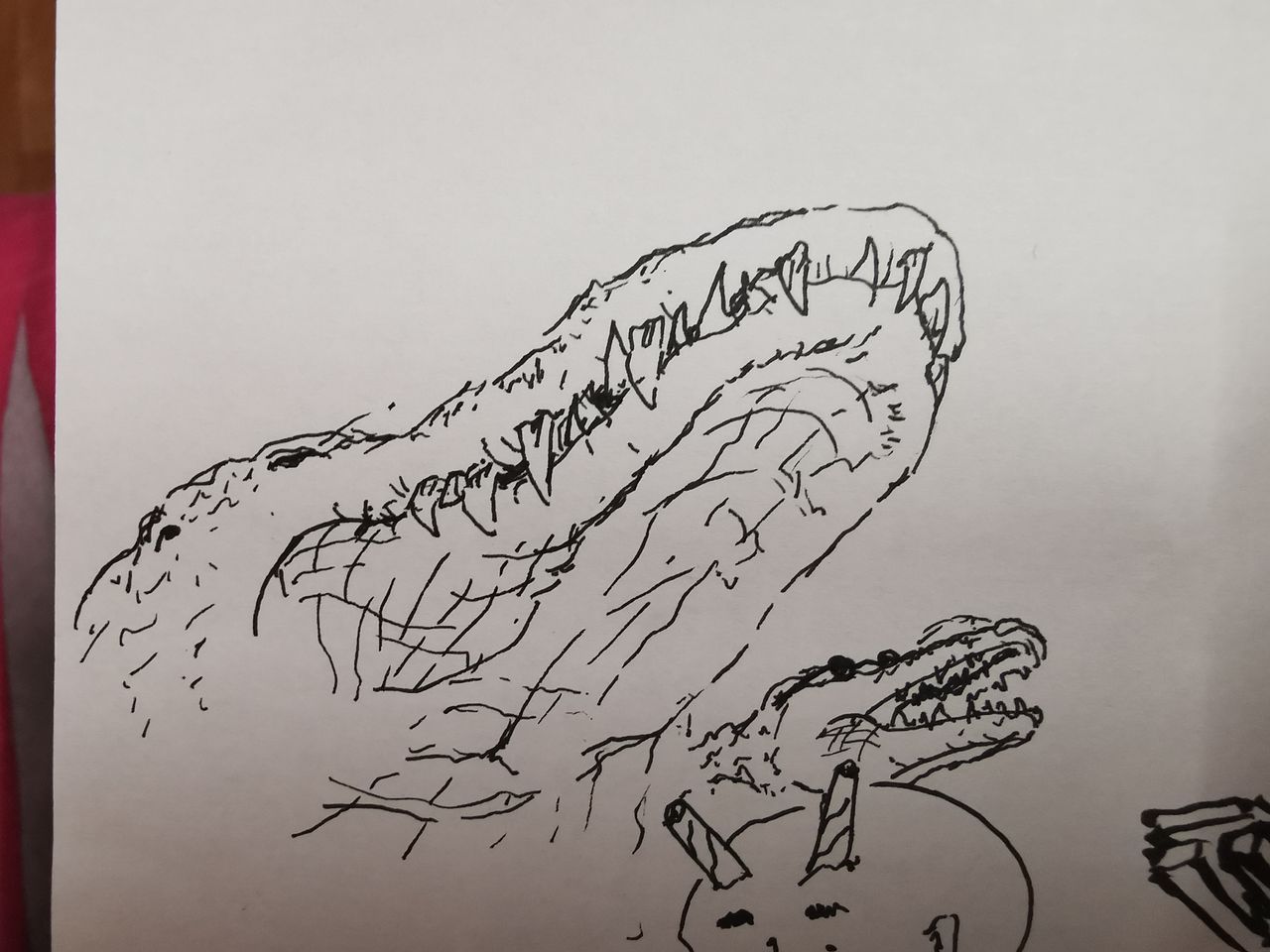 Crocodile