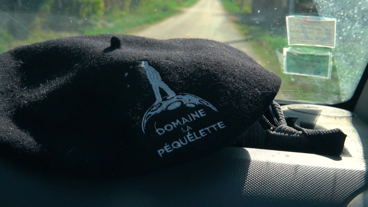Vendanges