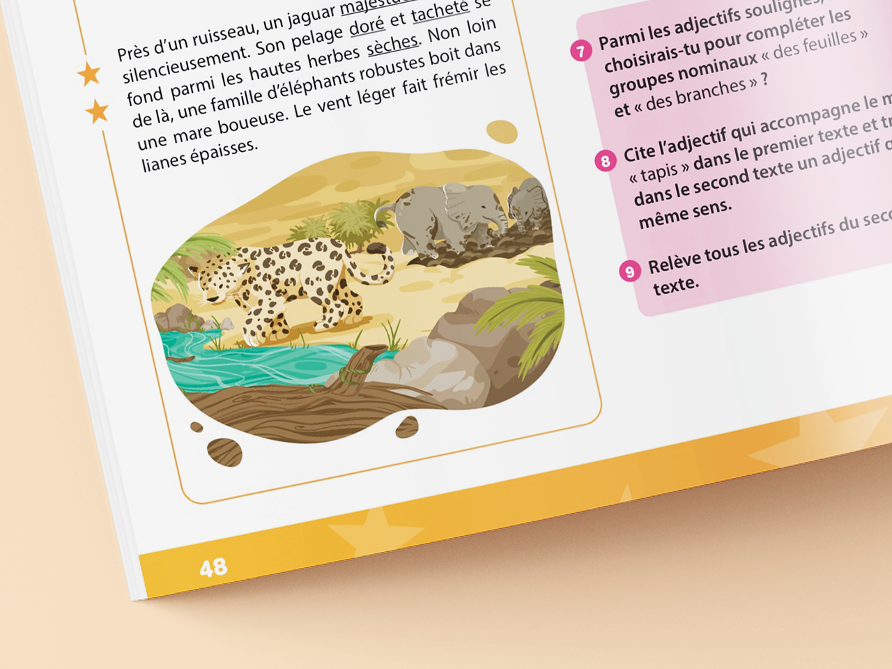 Illustration pour livre pédagogique