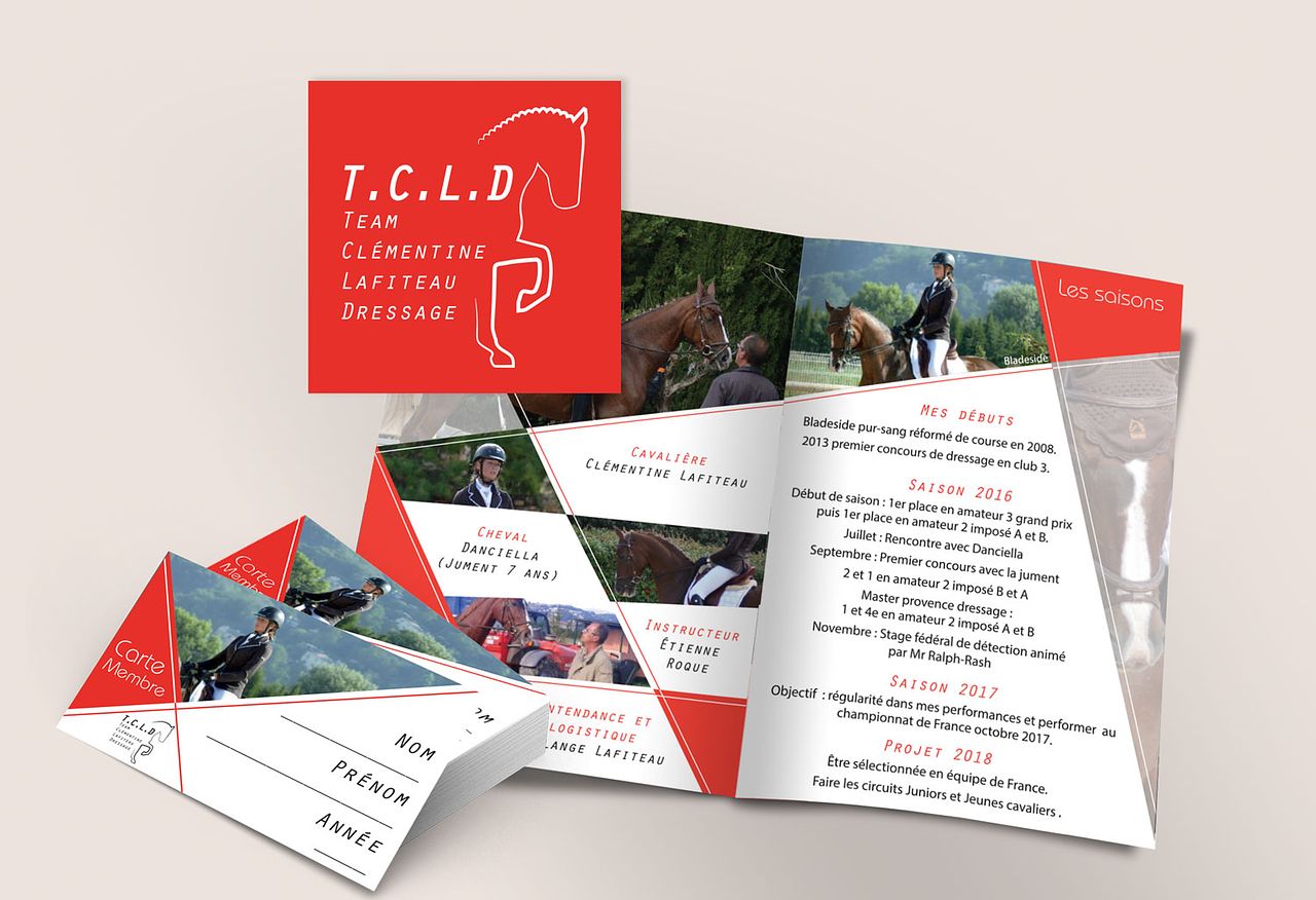 Identité visuelle TCLD