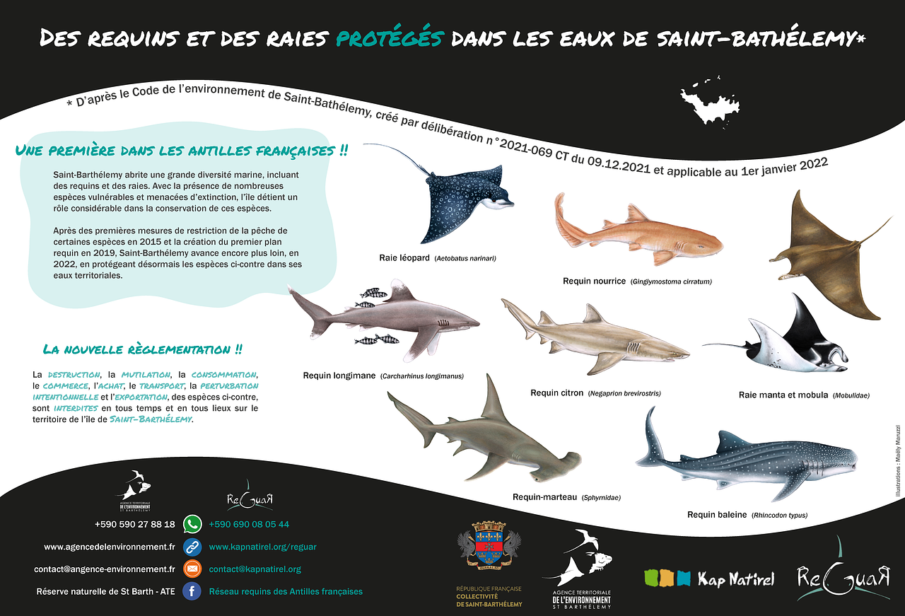 Poste Facebook - Requins protégés