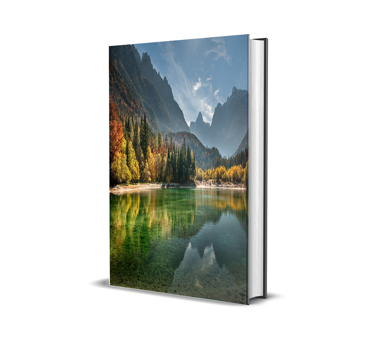 Couverture e-book (seul)