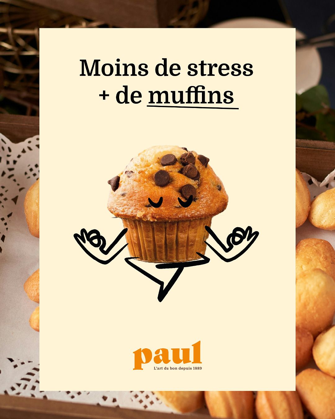 Paul rebranding