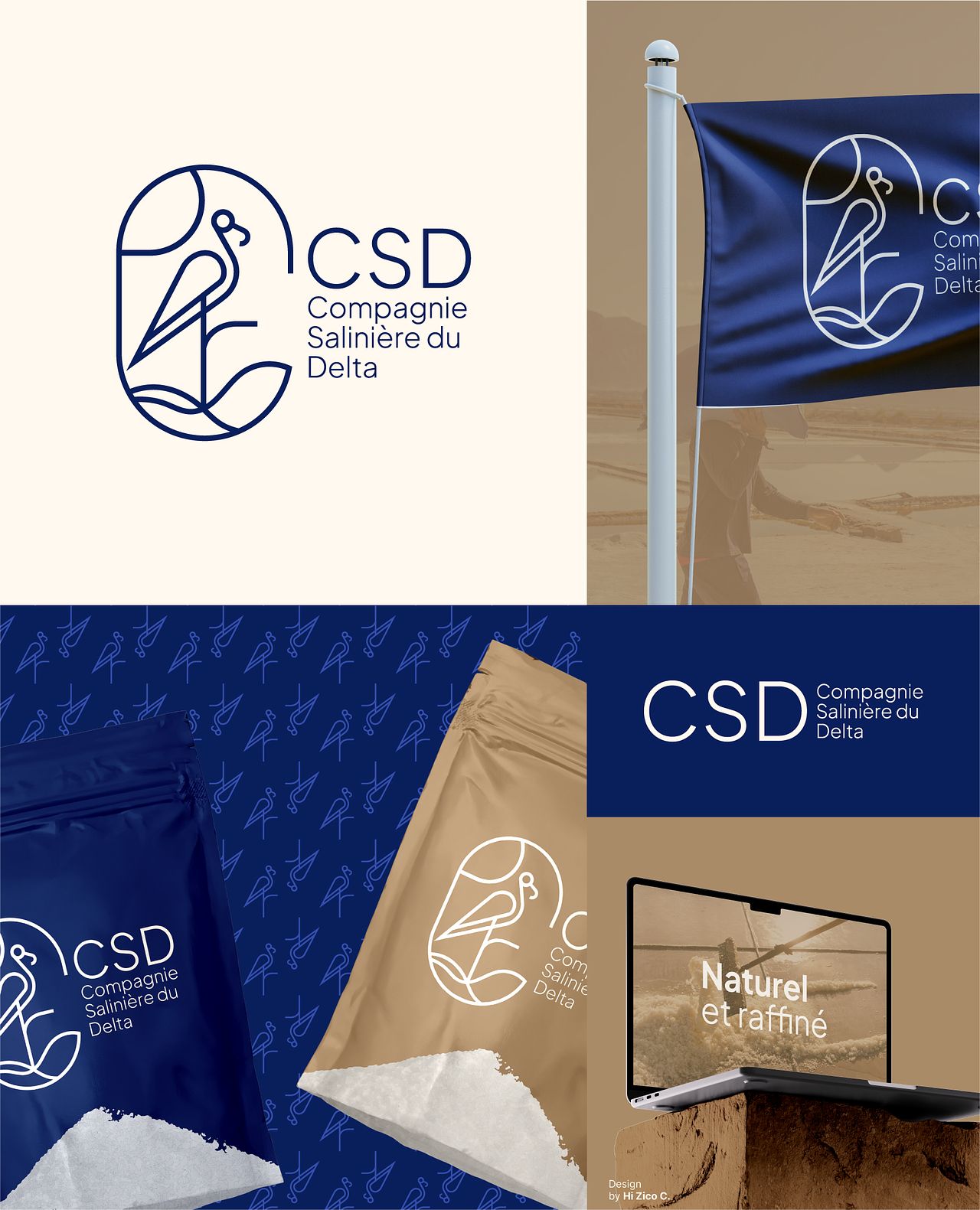 Identité Visuelle - CSD