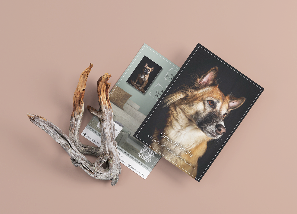 Flyer - Photographe canin