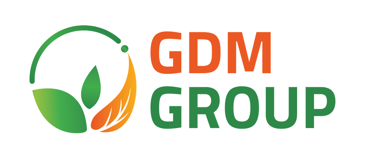 GDM GROUP
