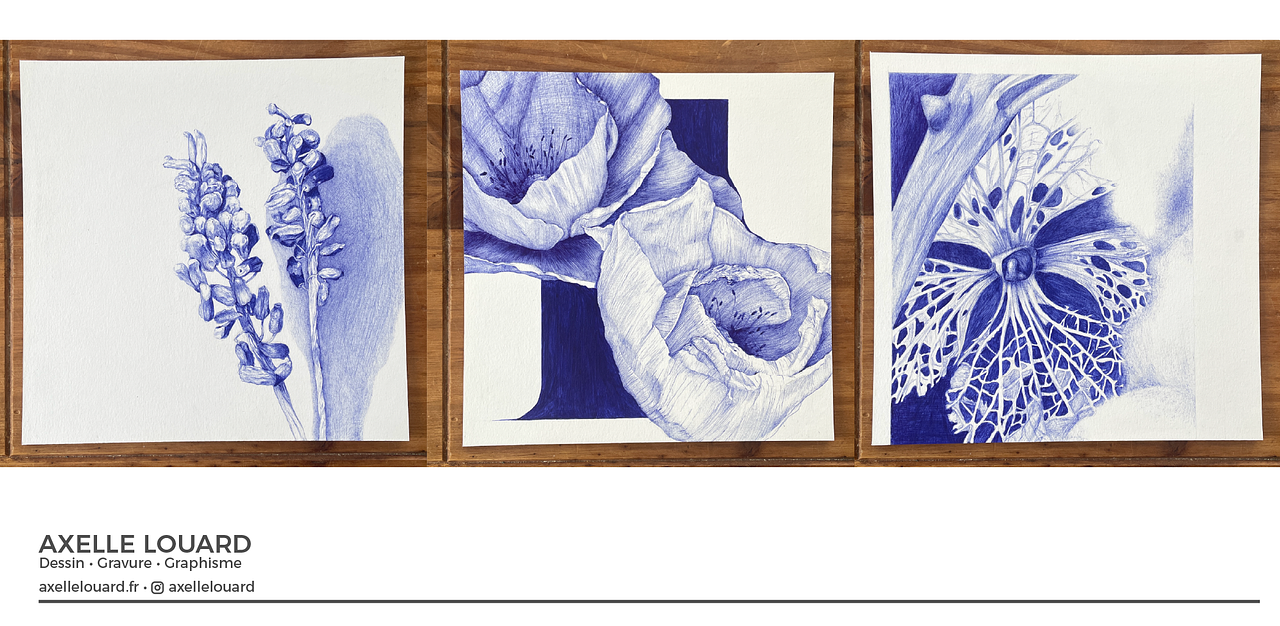 Dessin hyper réalistes au stylo bille