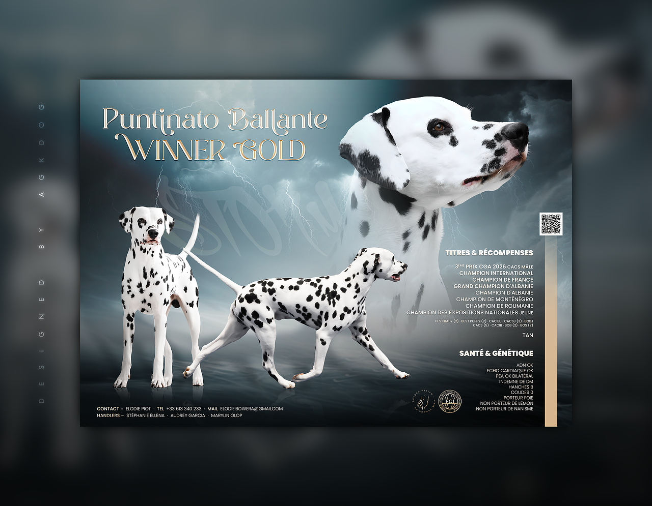 Studcard