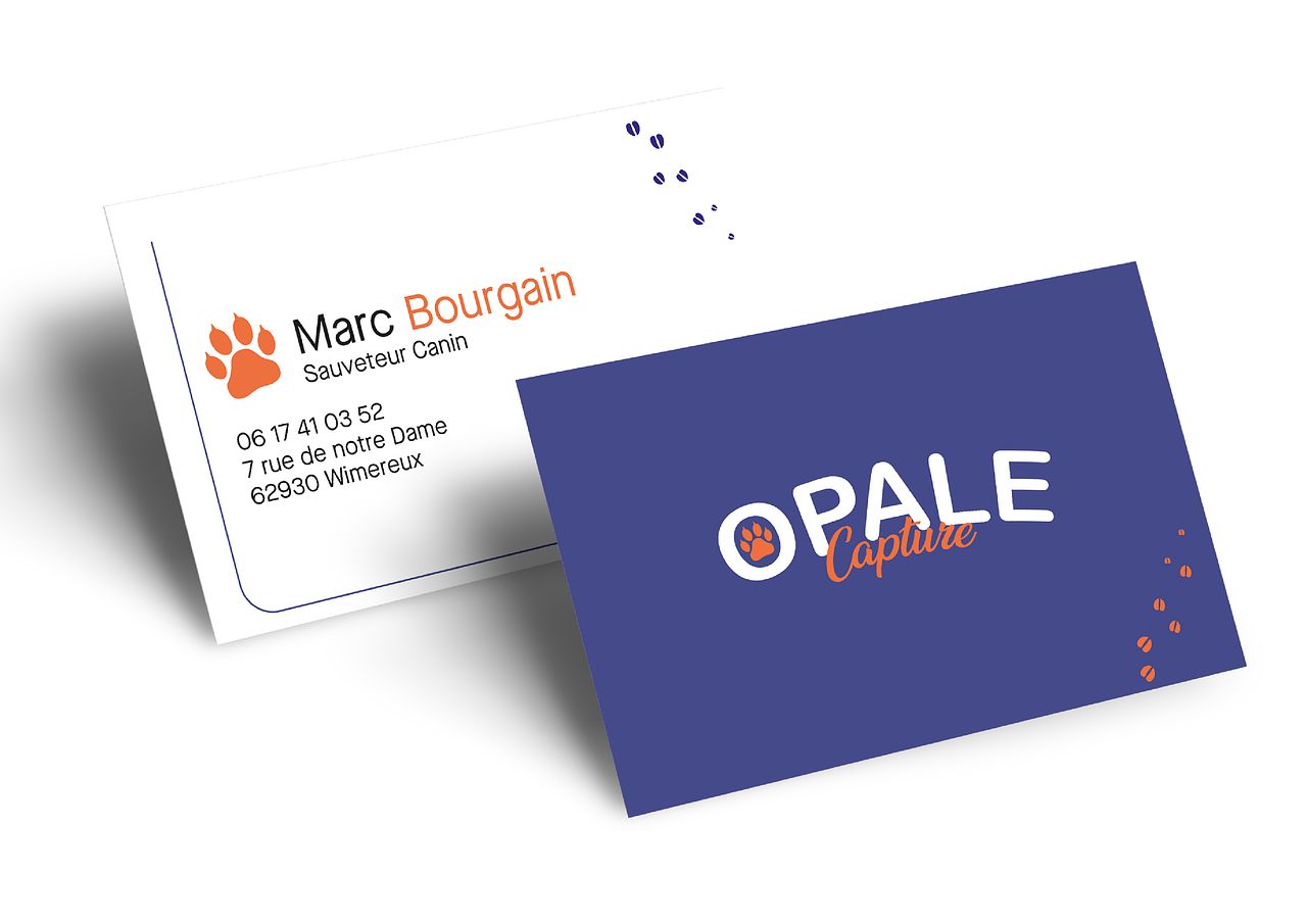 Opale Capture - Carte de visite