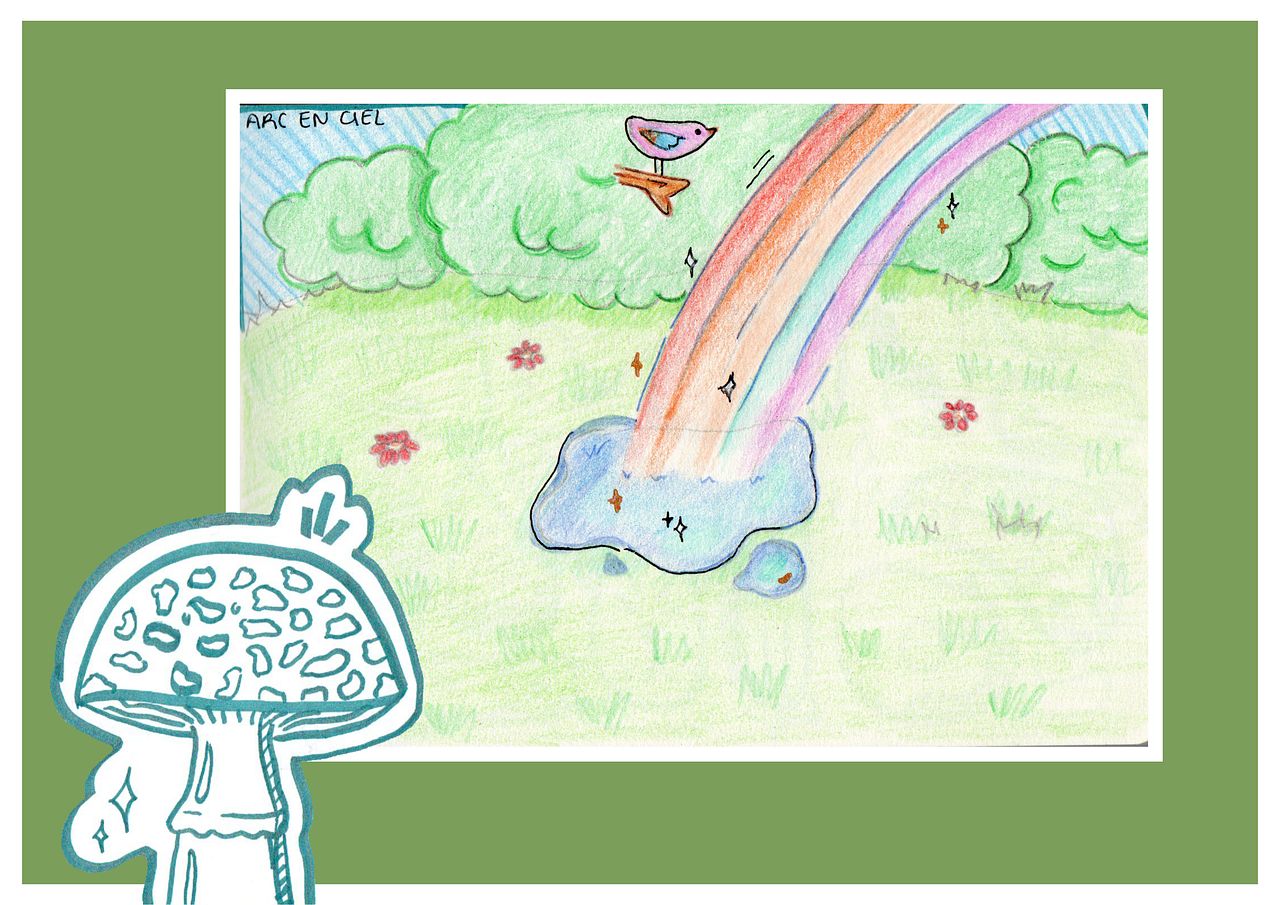 Prairie, Arc en Ciel & Champignon
