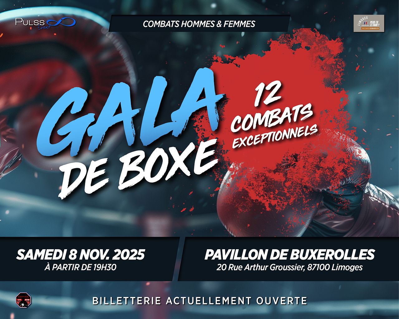 Gala de Boxe