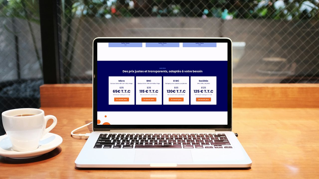 Full Bizz - maquette site internet